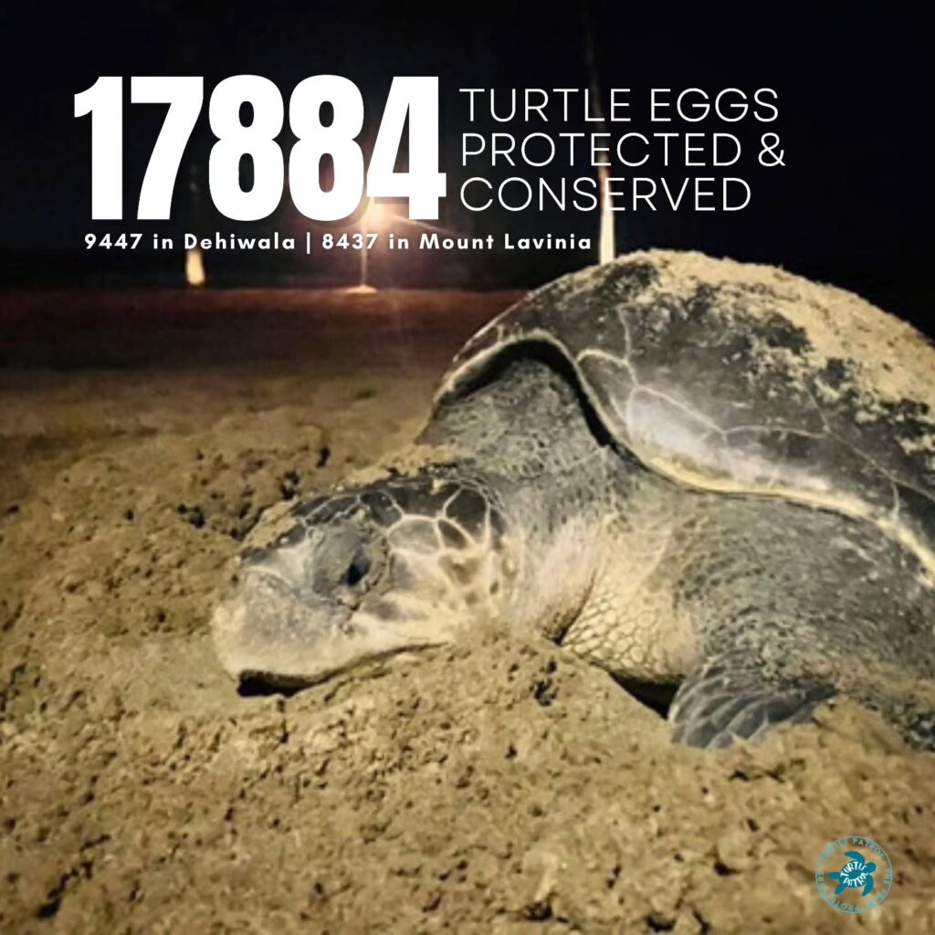 Instagram post from pearlprotectors. This post is in position 2.