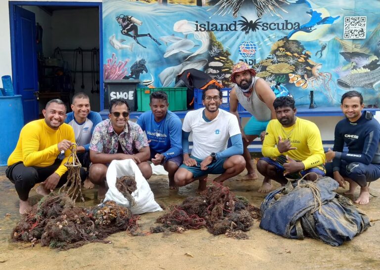 Instagram post from pearlprotectors. This post is in position 4.