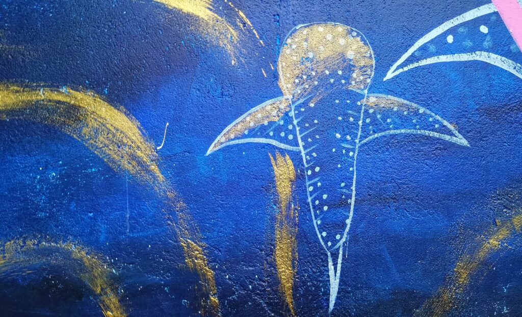 Instagram post from pearlprotectors. This post is in position 11.