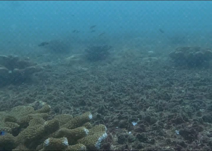 Instagram post from pearlprotectors. This post is in position 17.