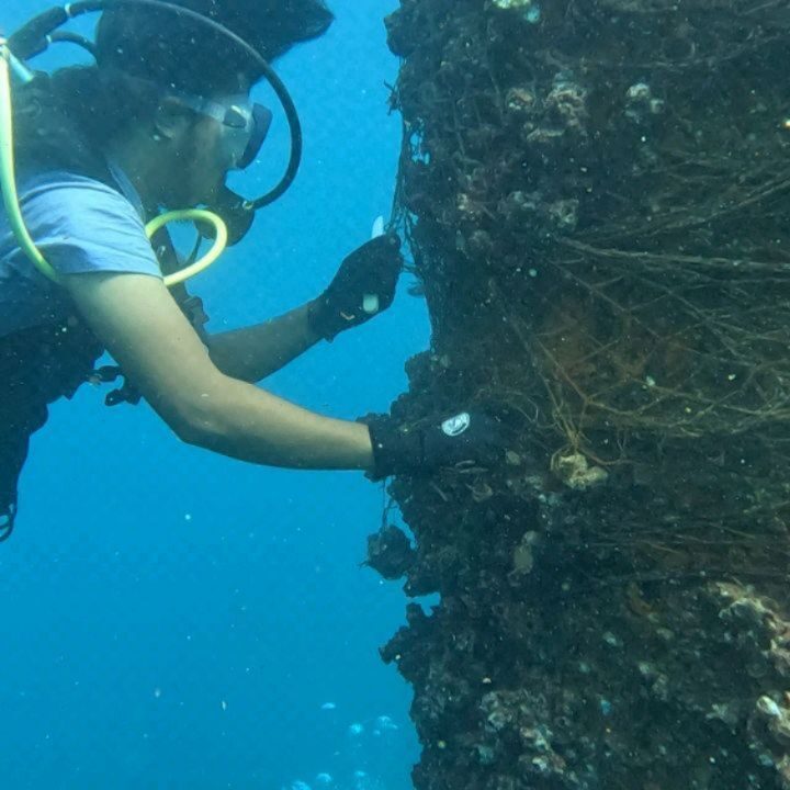 Instagram post from pearlprotectors. This post is in position 13.