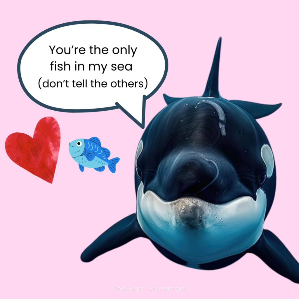 Instagram post from pearlprotectors. This post is in position 8.