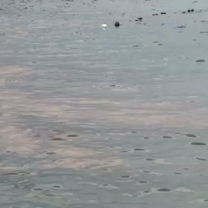 Instagram post from pearlprotectors. This post is in position 4.