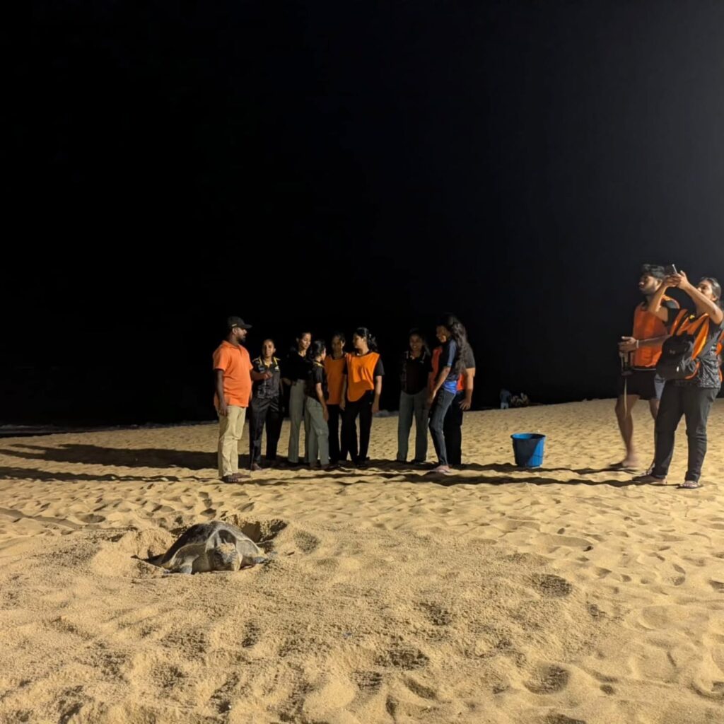 Instagram post from pearlprotectors. This post is in position 7.