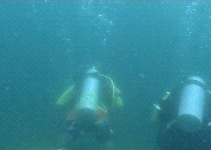 Instagram post from pearlprotectors. This post is in position 6.