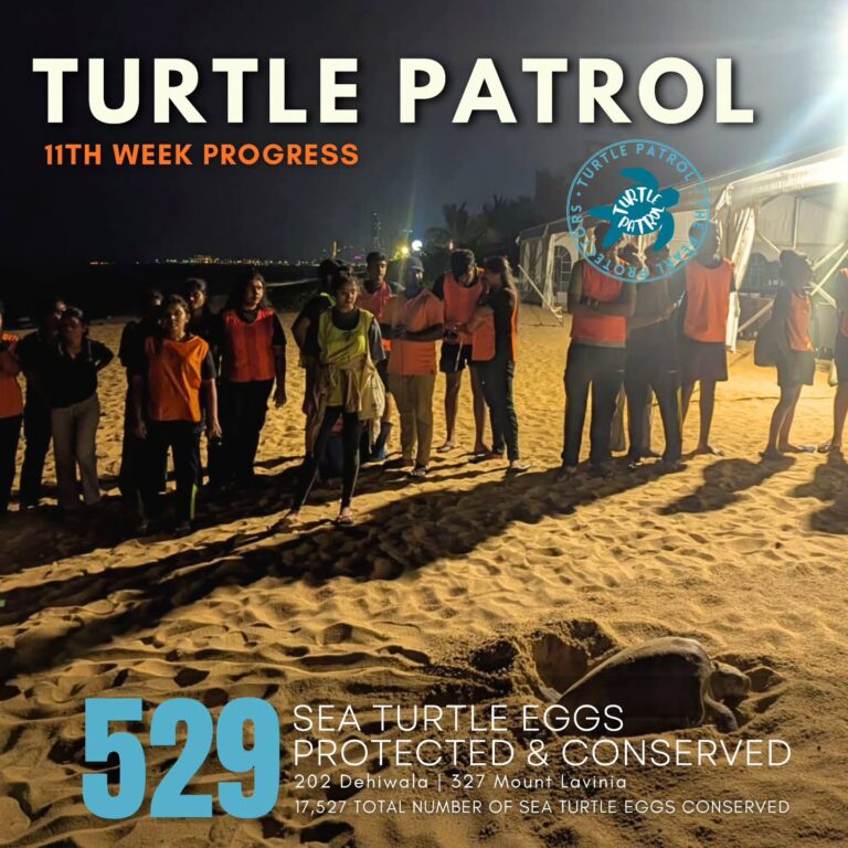 Instagram post from pearlprotectors. This post is in position 5.