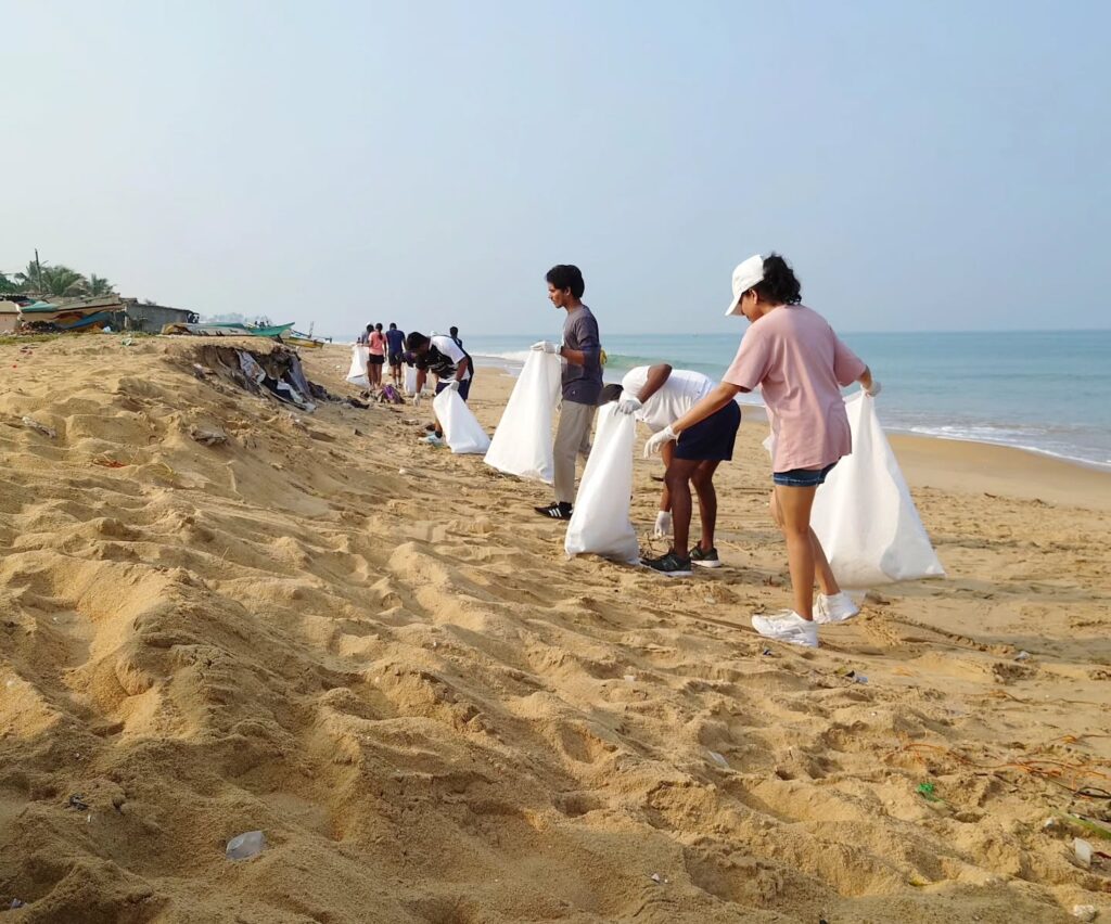 Instagram post from pearlprotectors. This post is in position 8.