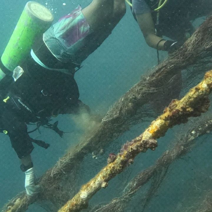 Instagram post from pearlprotectors. This post is in position 6.