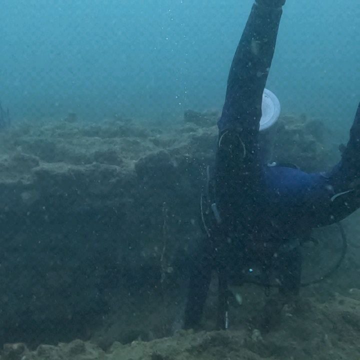 Instagram post from pearlprotectors. This post is in position 8.