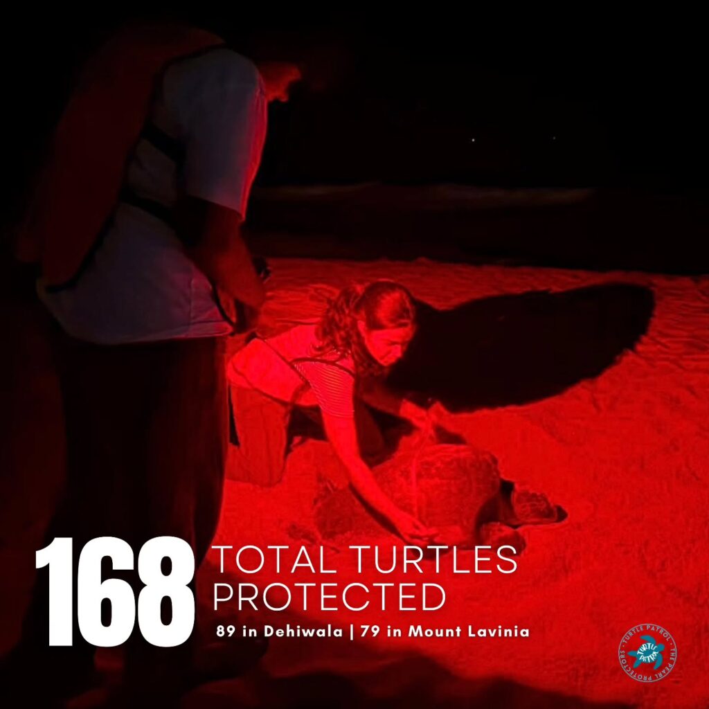 Instagram post from pearlprotectors. This post is in position 6.