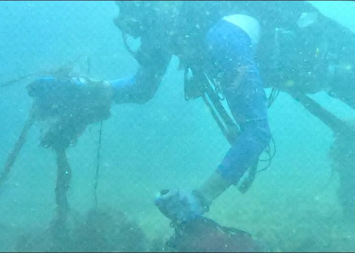 Instagram post from pearlprotectors. This post is in position 13.