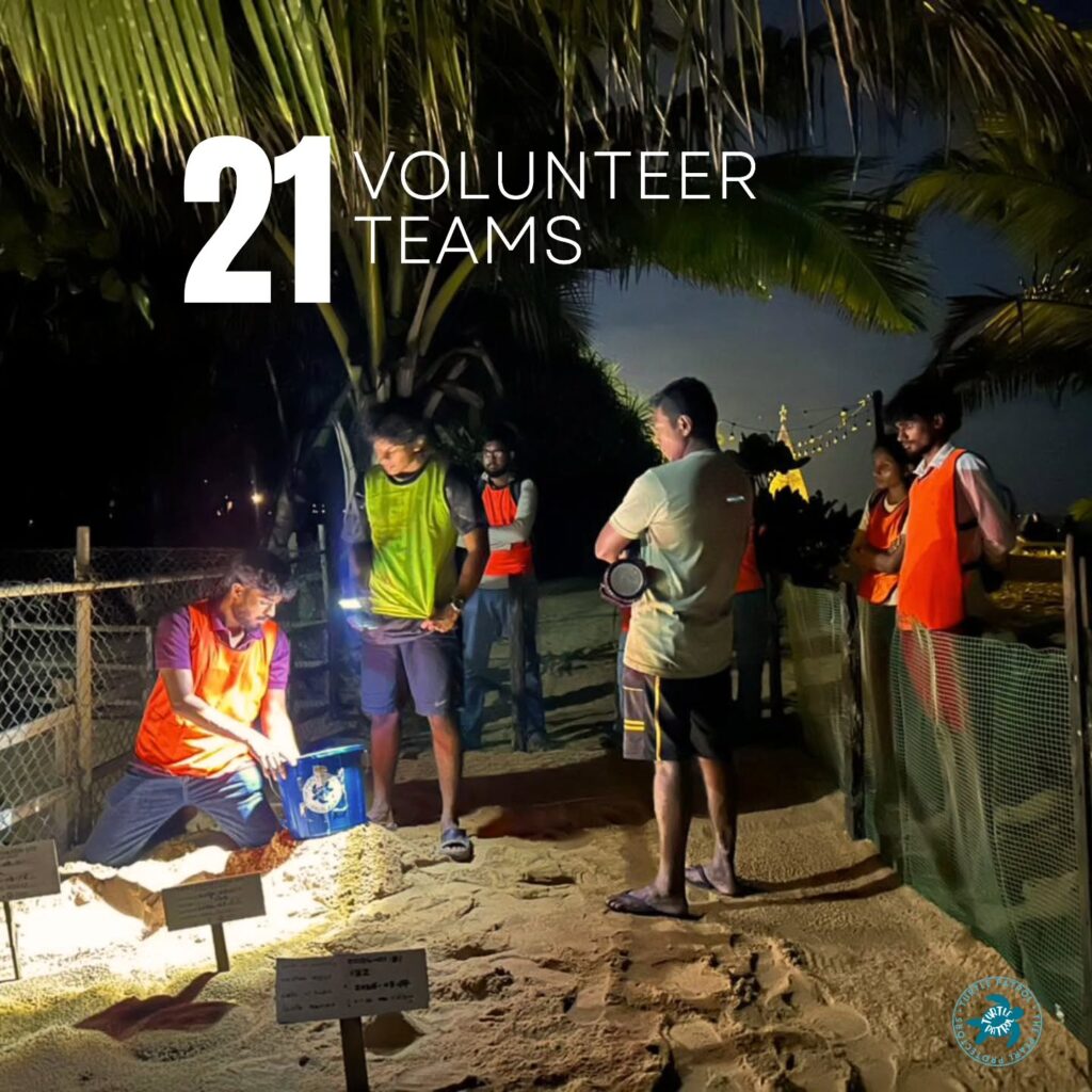 Instagram post from pearlprotectors. This post is in position 5.