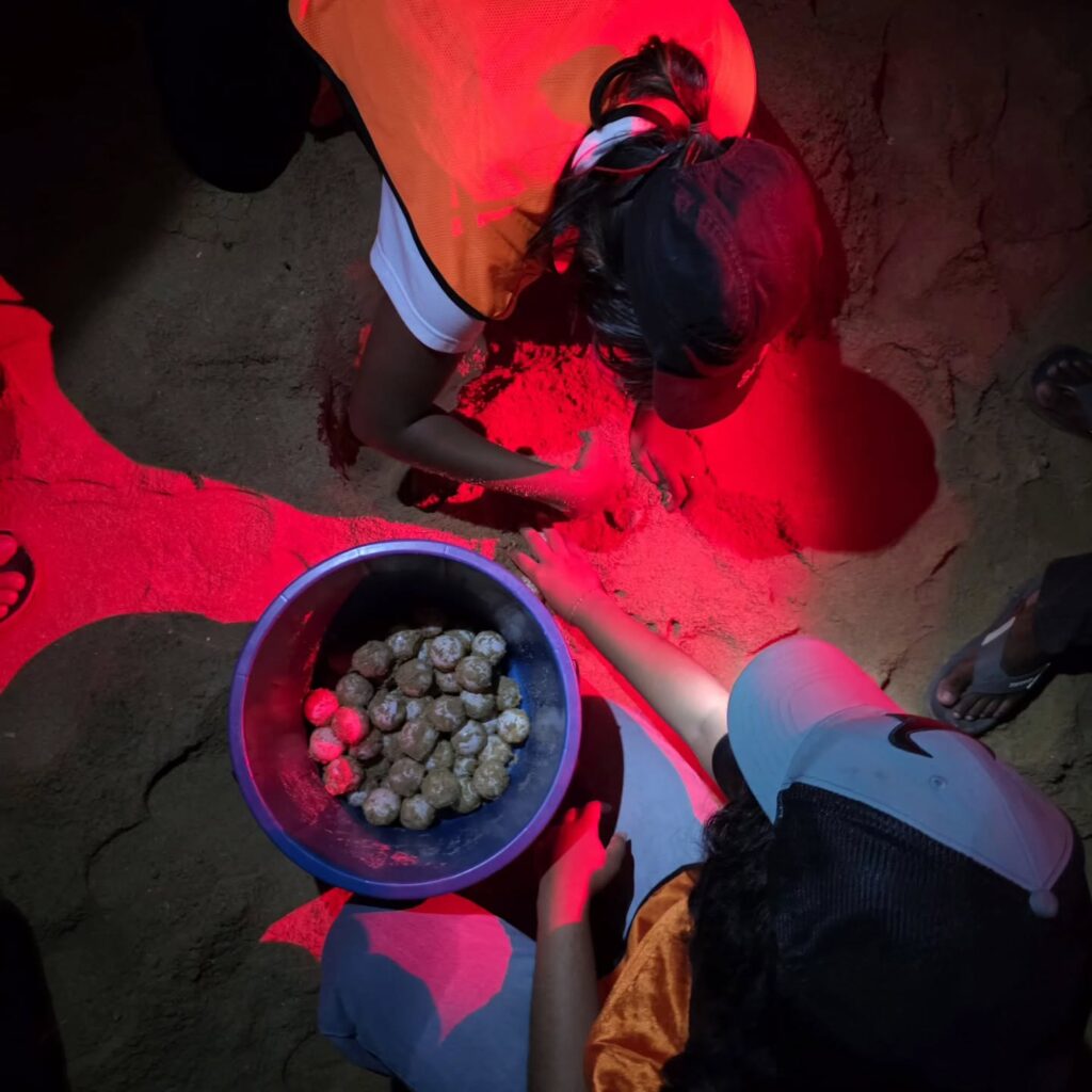 Instagram post from pearlprotectors. This post is in position 5.