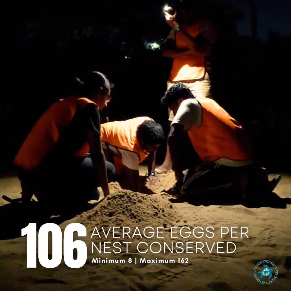 Instagram post from pearlprotectors. This post is in position 8.