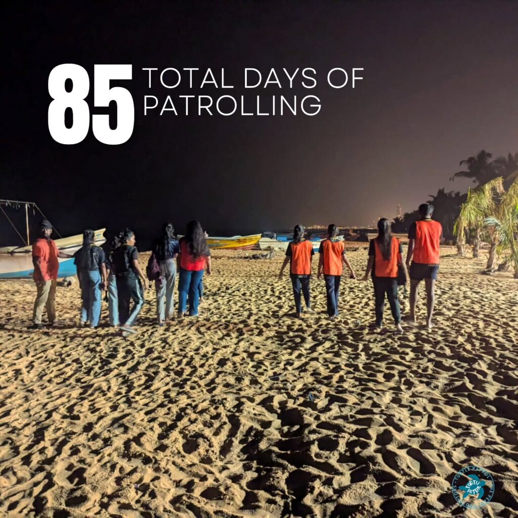 Instagram post from pearlprotectors. This post is in position 9.