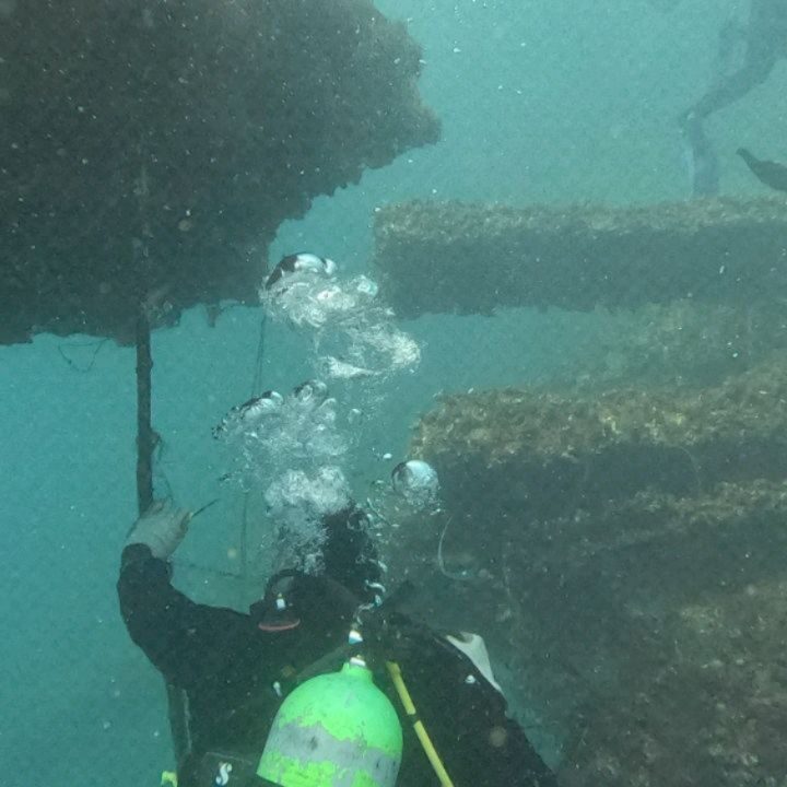 Instagram post from pearlprotectors. This post is in position 12.