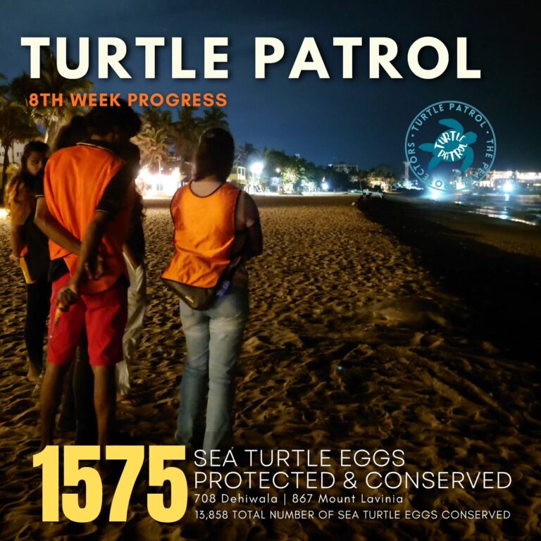 Instagram post from pearlprotectors. This post is in position 3.