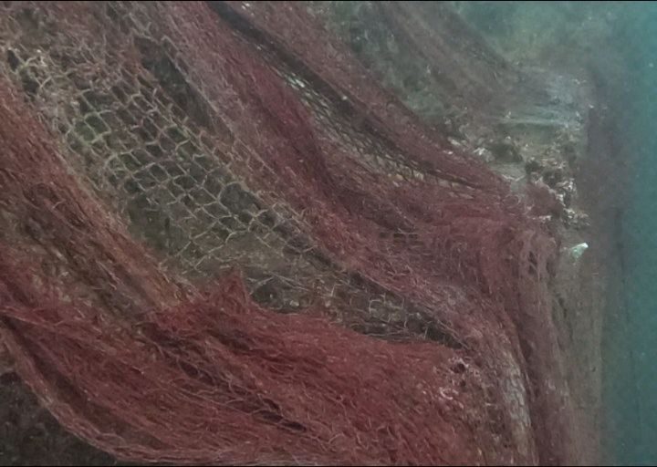 Instagram post from pearlprotectors. This post is in position 11.