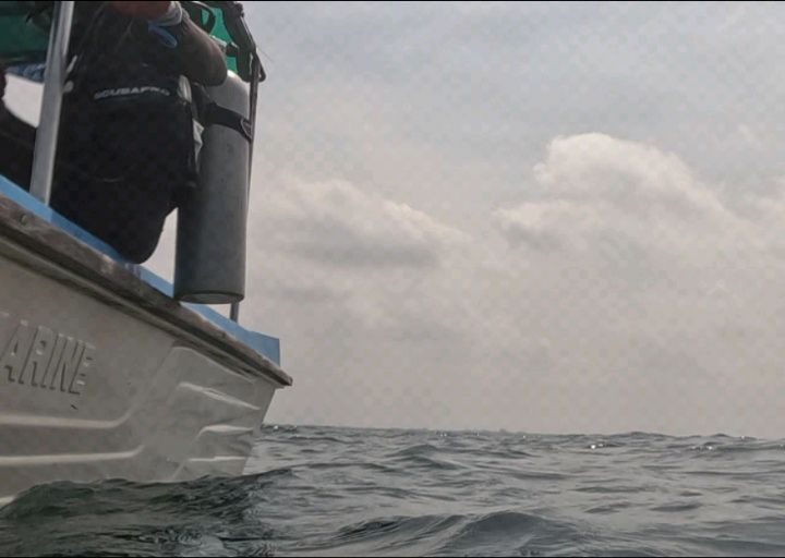 Instagram post from pearlprotectors. This post is in position 5.