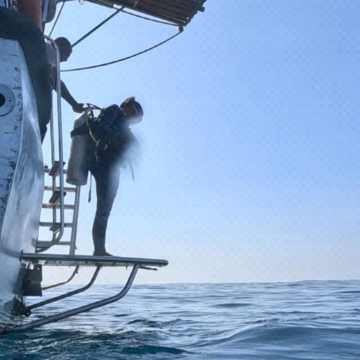 Instagram post from pearlprotectors. This post is in position 3.