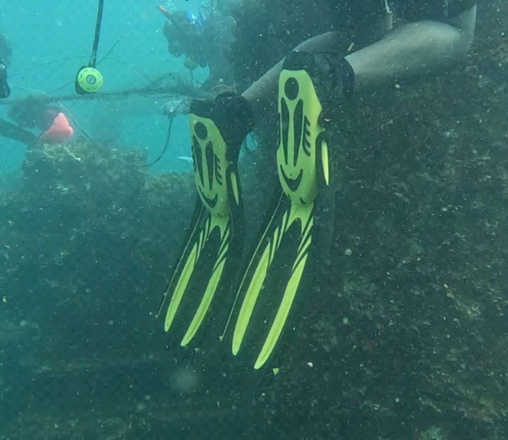 Instagram post from pearlprotectors. This post is in position 7.