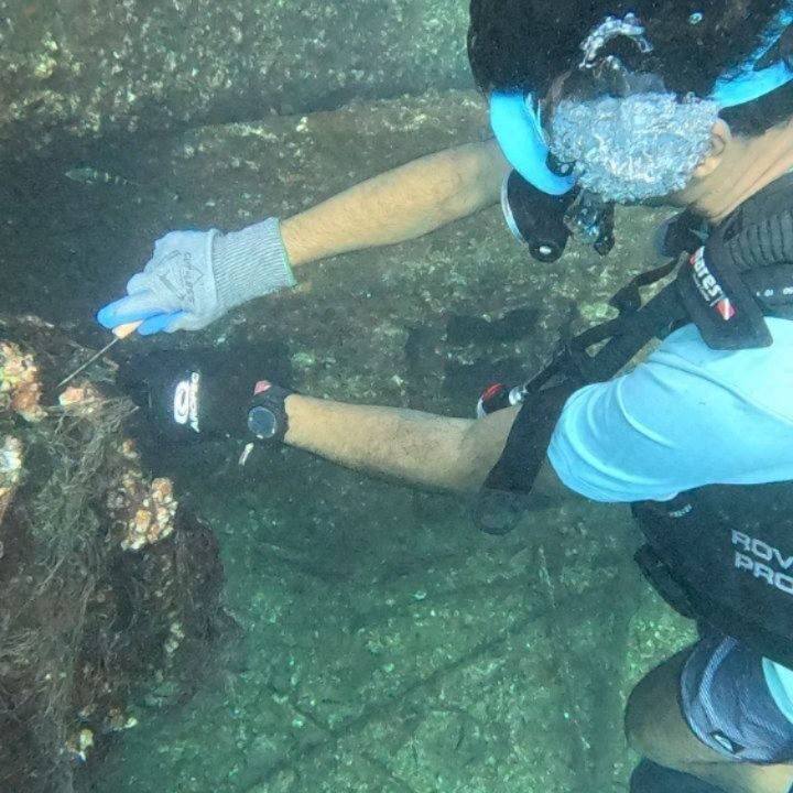 Instagram post from pearlprotectors. This post is in position 8.