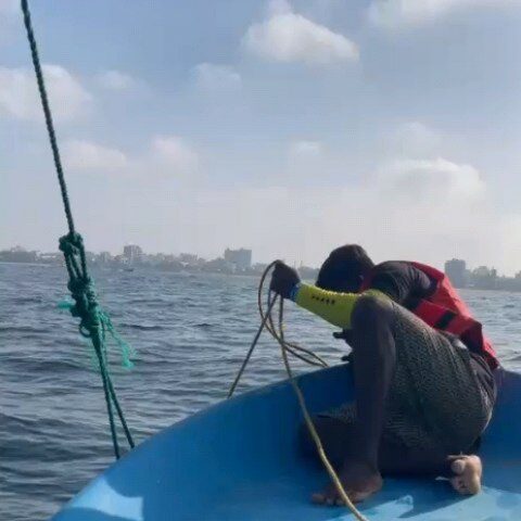 Instagram post from pearlprotectors. This post is in position 2.