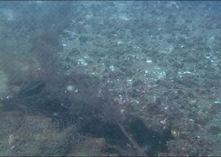 Instagram post from pearlprotectors. This post is in position 14.