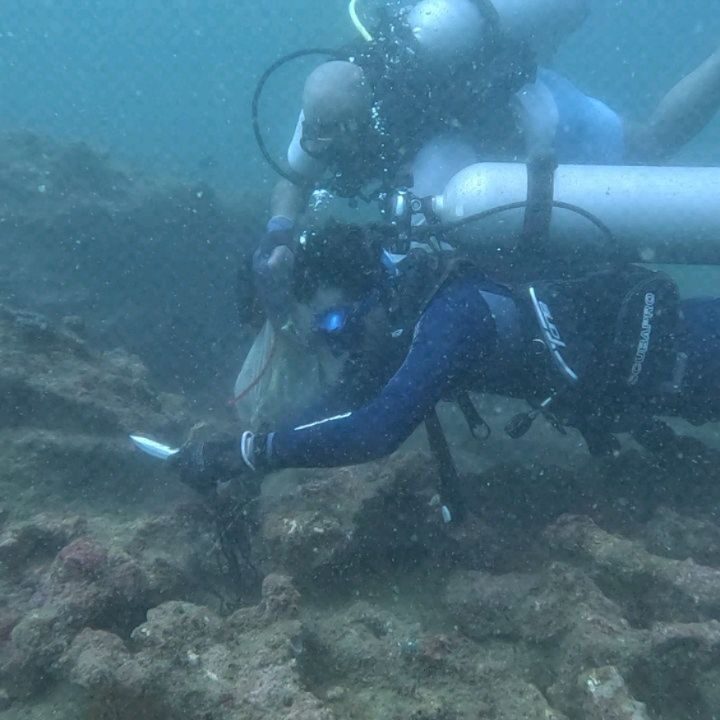 Instagram post from pearlprotectors. This post is in position 4.