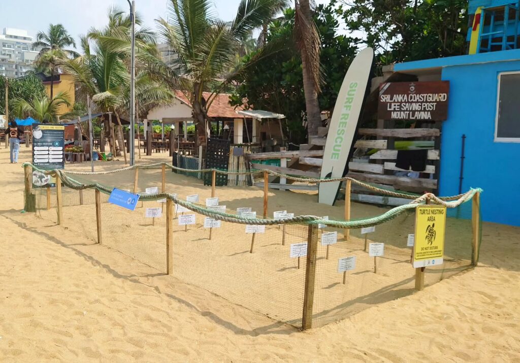 Instagram post from pearlprotectors. This post is in position 3.