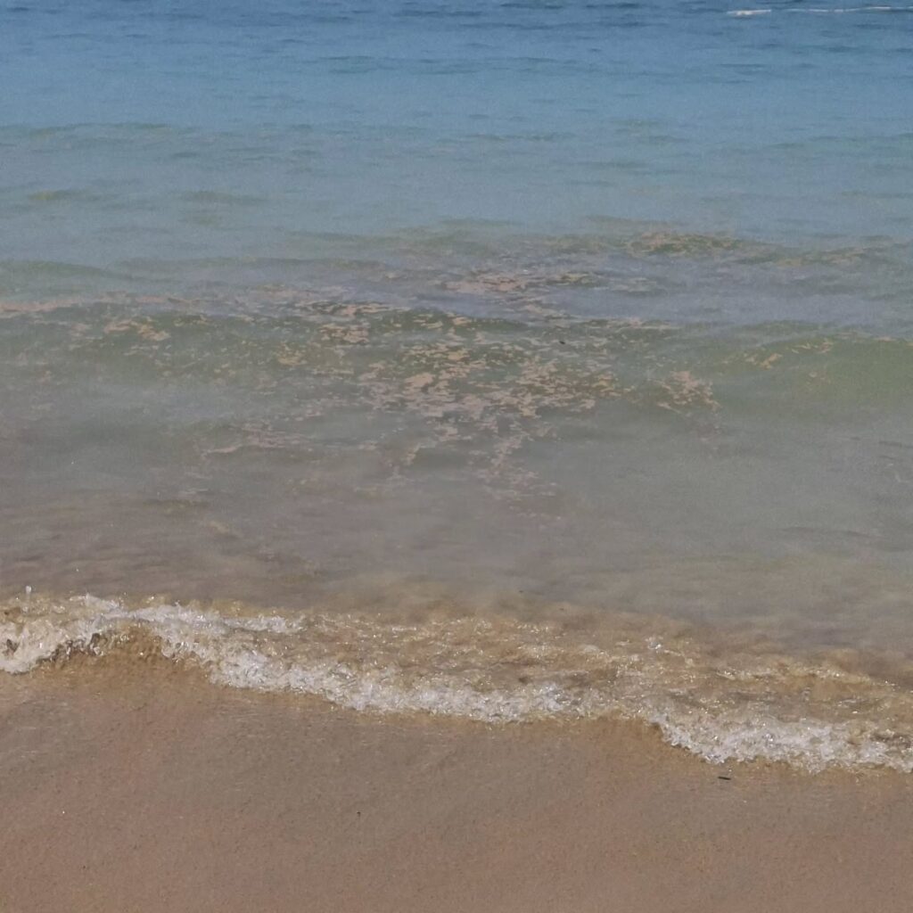 Instagram post from pearlprotectors. This post is in position 7.