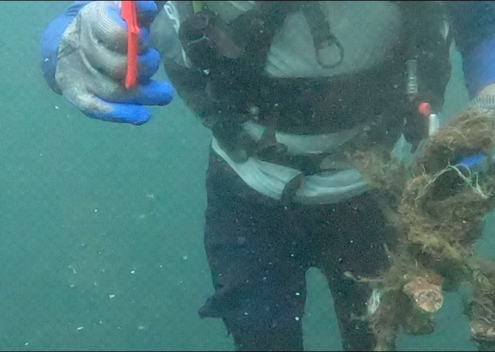 Instagram post from pearlprotectors. This post is in position 12.