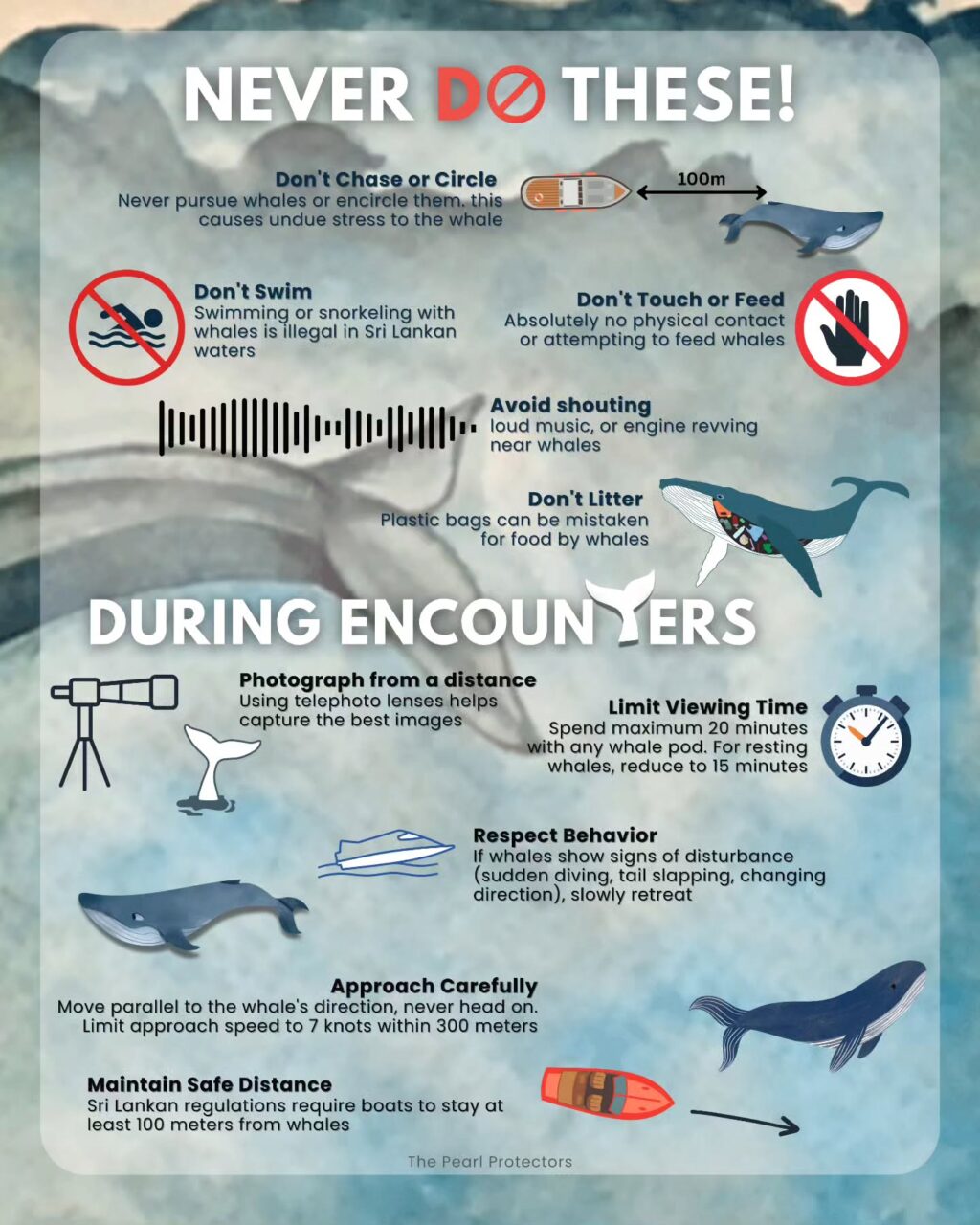 Instagram post from pearlprotectors. This post is in position 3.