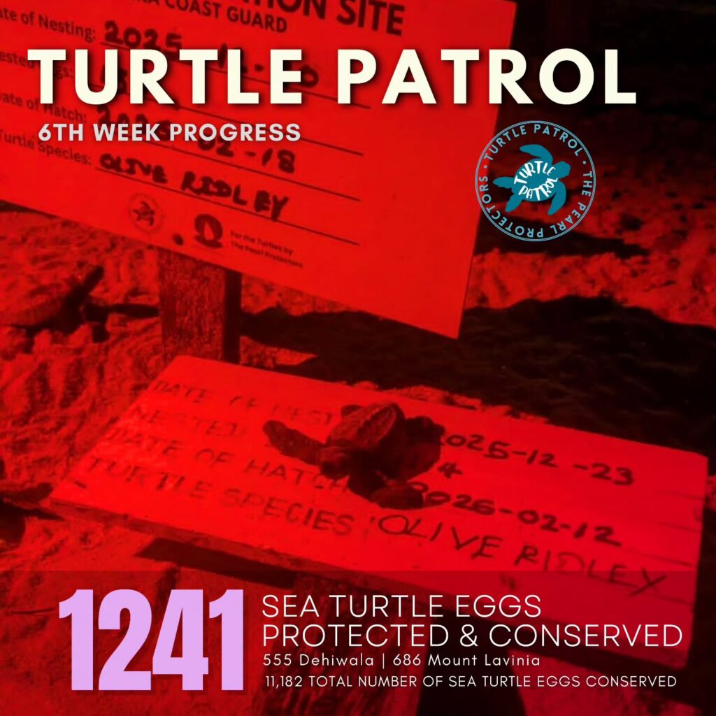 Instagram post from pearlprotectors. This post is in position 0.