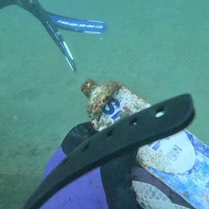 Instagram post from pearlprotectors. This post is in position 5.