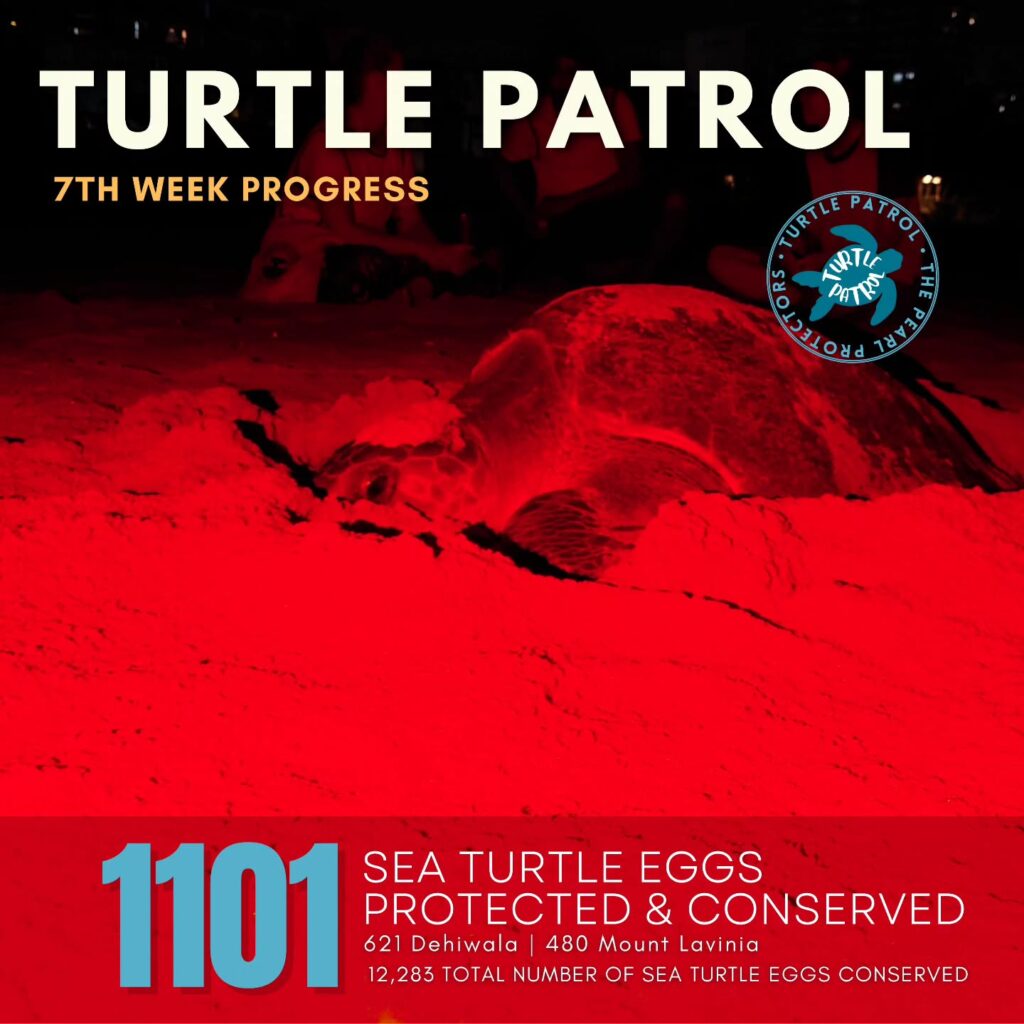 Instagram post from pearlprotectors. This post is in position 0.