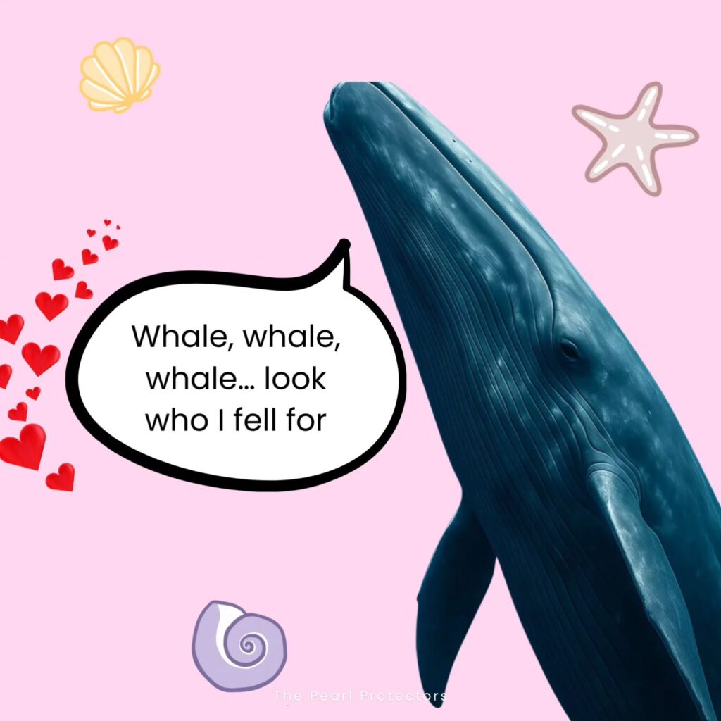 Instagram post from pearlprotectors. This post is in position 10.