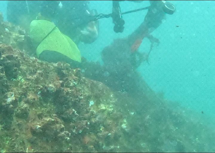 Instagram post from pearlprotectors. This post is in position 16.