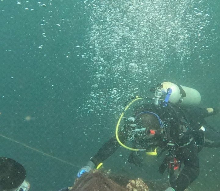 Instagram post from pearlprotectors. This post is in position 4.