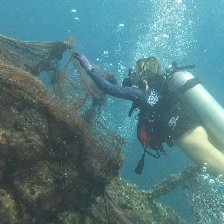 Instagram post from pearlprotectors. This post is in position 11.