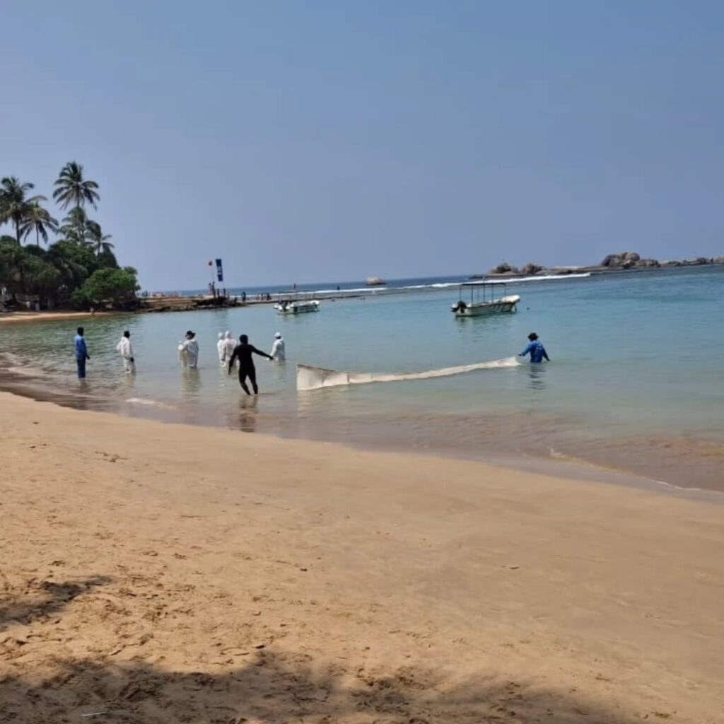 Instagram post from pearlprotectors. This post is in position 2.