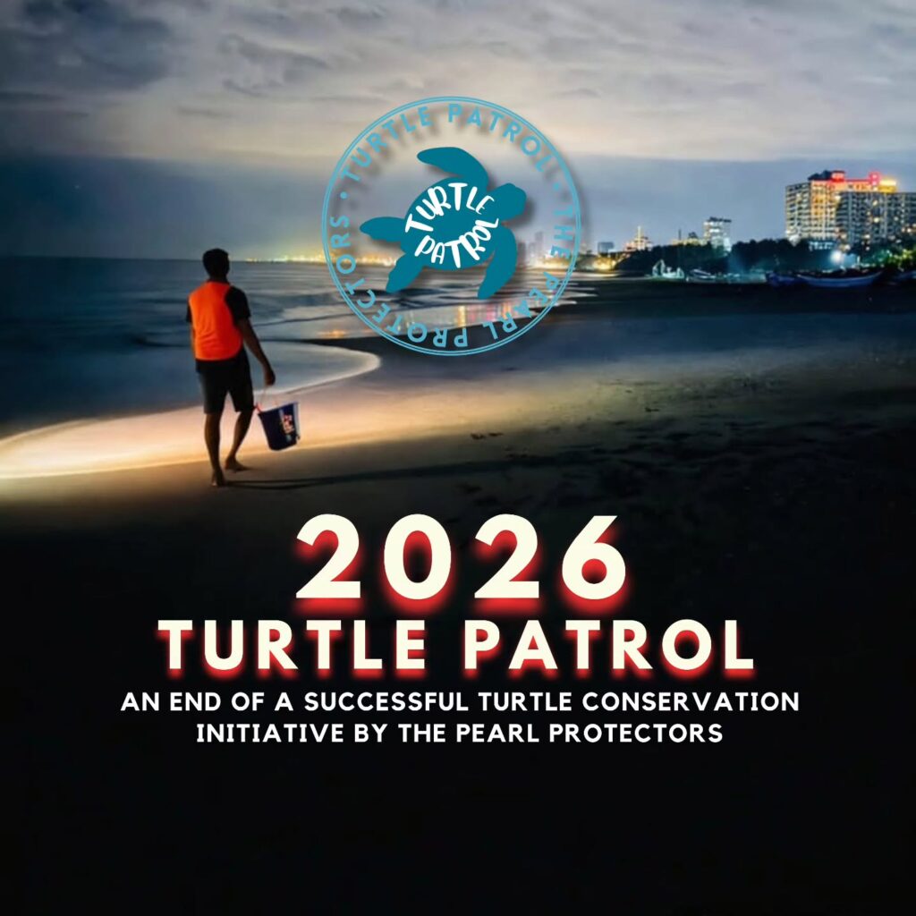 Instagram post from pearlprotectors. This post is in position 0.