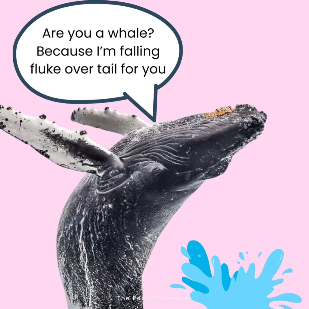 Instagram post from pearlprotectors. This post is in position 2.