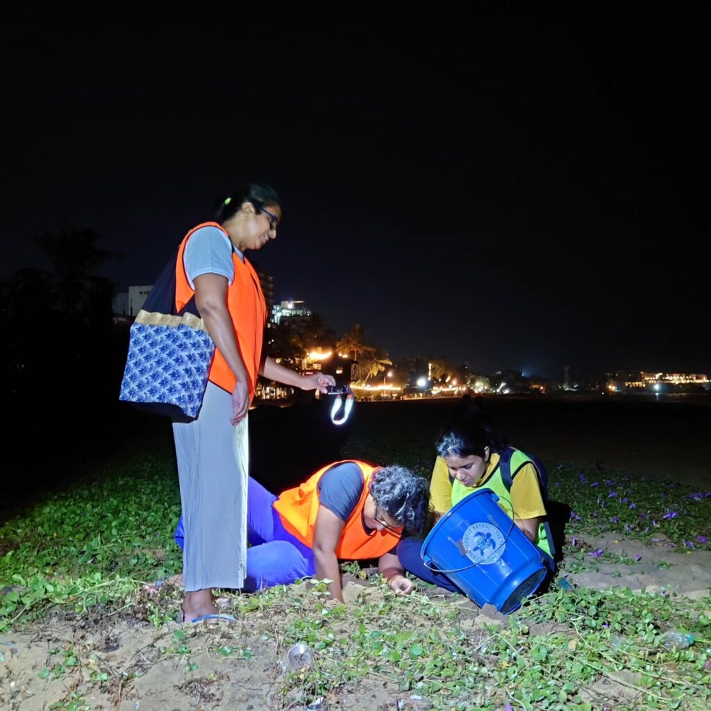 Instagram post from pearlprotectors. This post is in position 11.