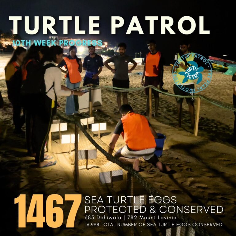 Instagram post from pearlprotectors. This post is in position 1.