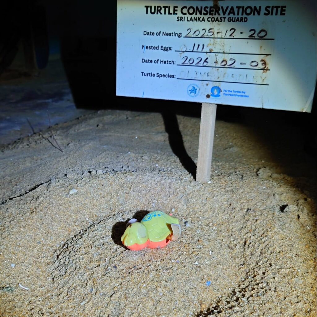 Instagram post from pearlprotectors. This post is in position 12.