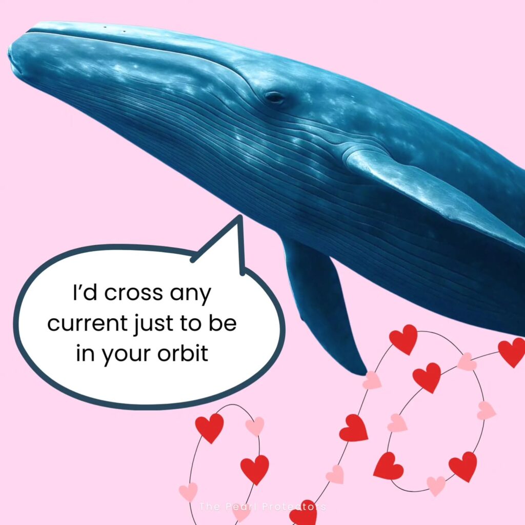 Instagram post from pearlprotectors. This post is in position 6.