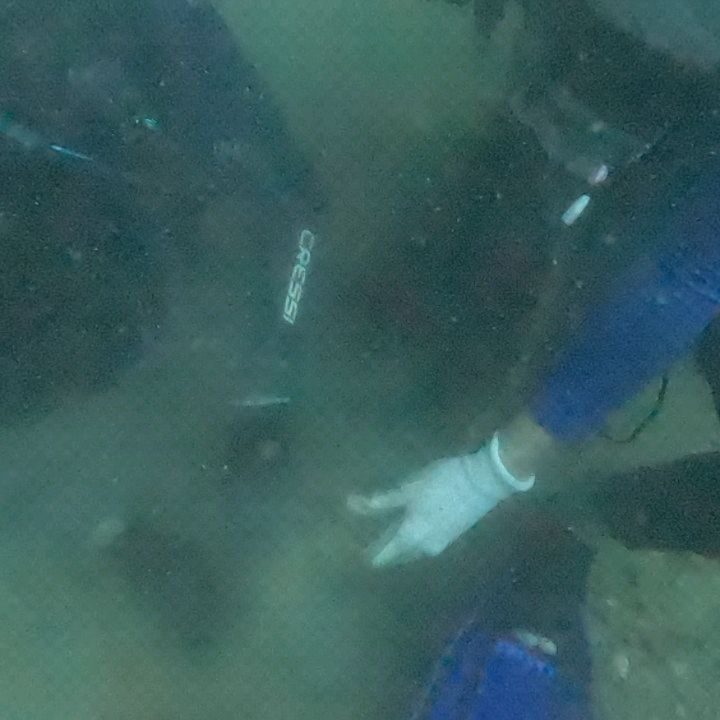 Instagram post from pearlprotectors. This post is in position 10.