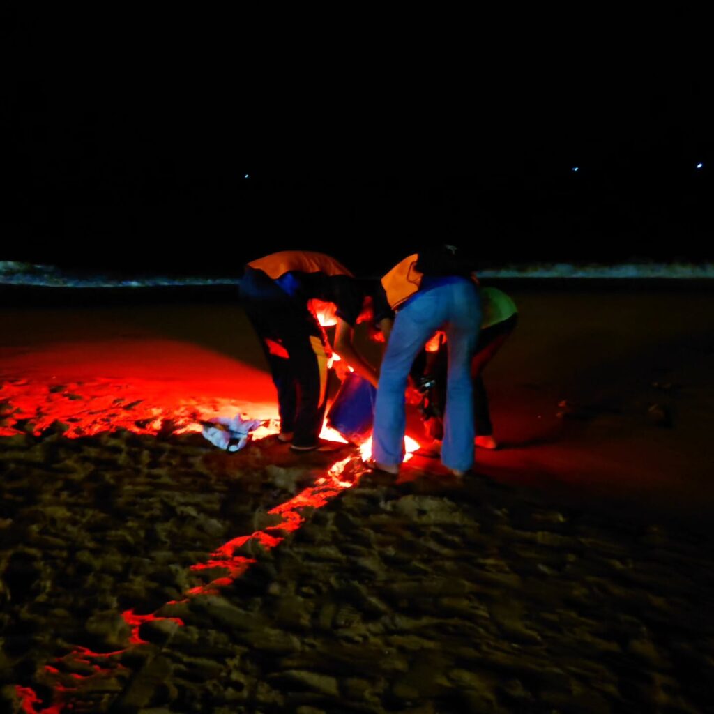 Instagram post from pearlprotectors. This post is in position 8.