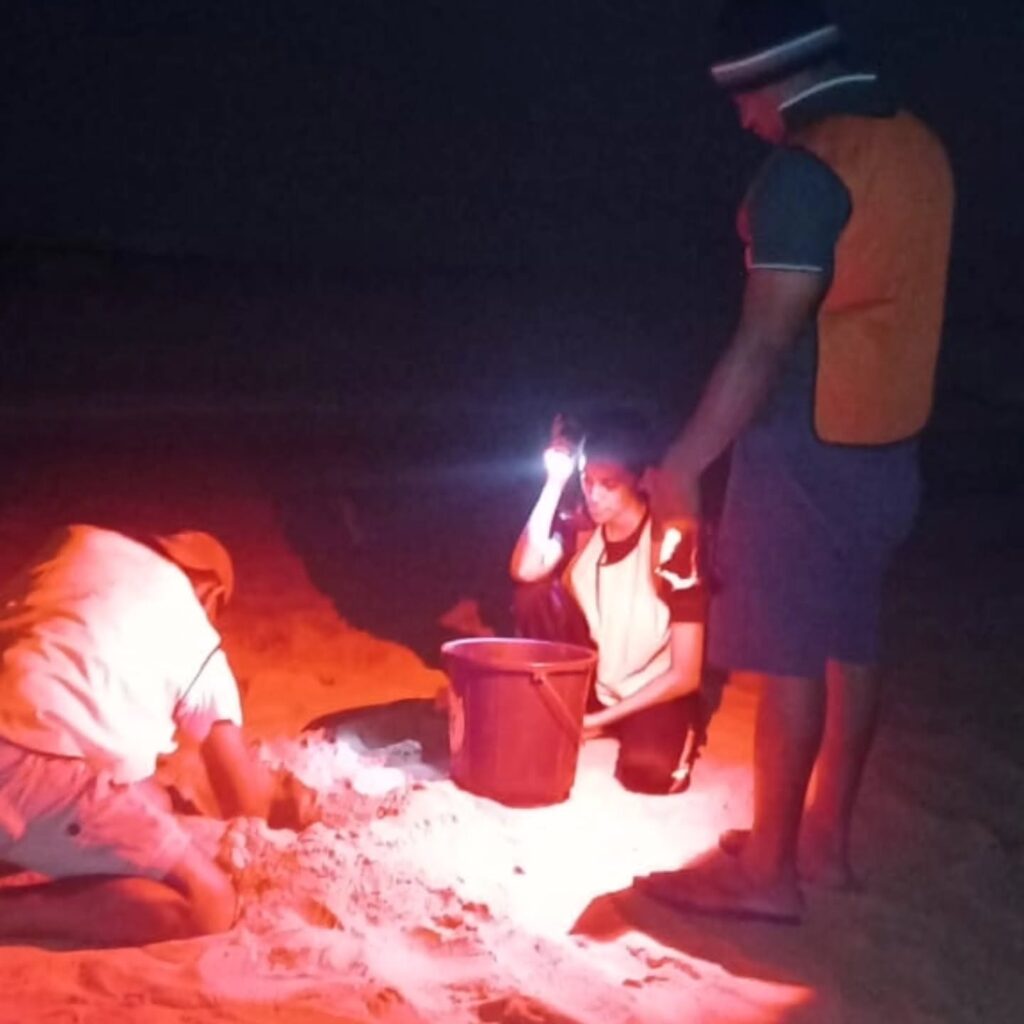 Instagram post from pearlprotectors. This post is in position 7.